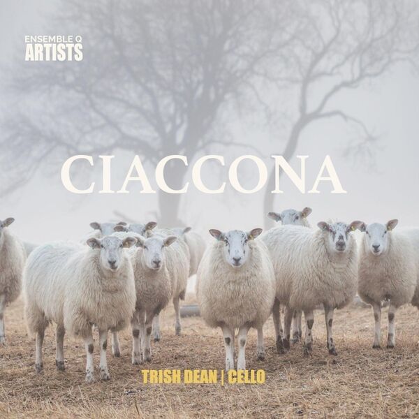 Cover art for Ciaccona